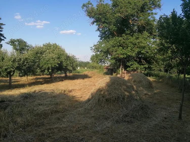 Casa cu teren de vanzare - sat PE?TEANA - 5