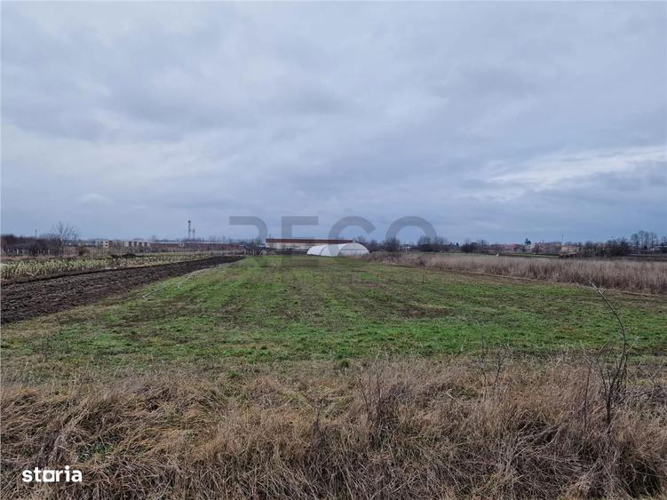 Teren intravilan in Bors cu front mare - 2