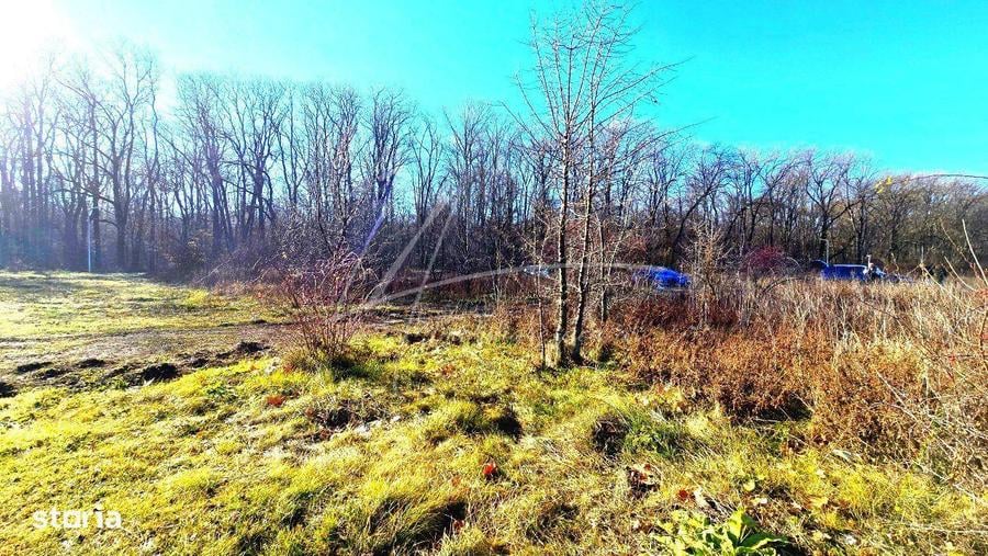 Teren intravilan, 2 fronturi, Drumul Padurea Pustnicu 65 - Greenfield - 6