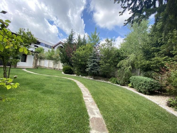 Vila superba - 7 camere - vanzare - Iancu Nicolae - Padurea Baneasa - 27