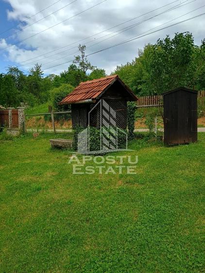 Casa batraneasca de vanzare, 4 camere, in Hunedoara, sat Micanesti - 7