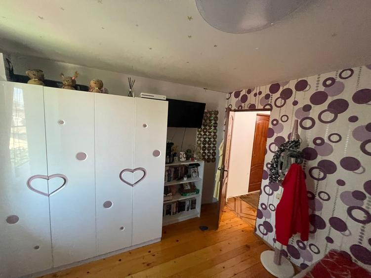 Vila ultracentral Pantelimon - 7