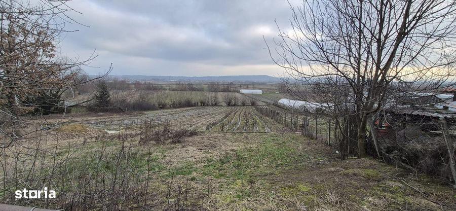 Teren de vanzare, 1290 mp, Coltau Maramures - 9