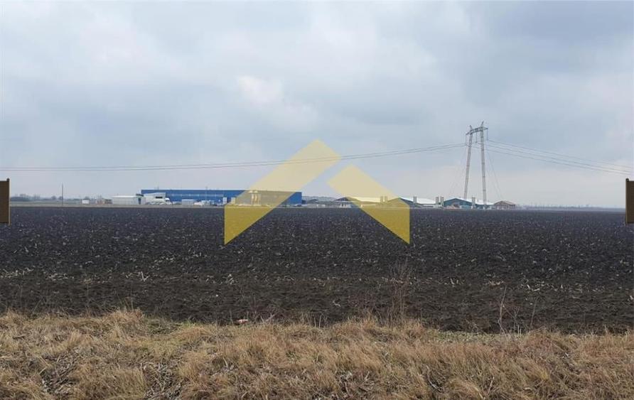 Teren cu PUZ de vanzare zona Turnu - 8