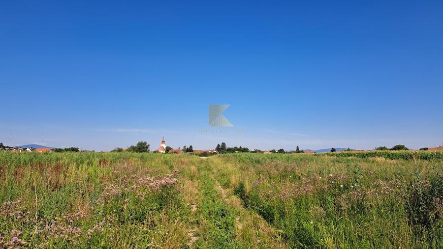 Posibilitate RATE | Teren Bod | curti constructii | utilitati | PUZ, - 13