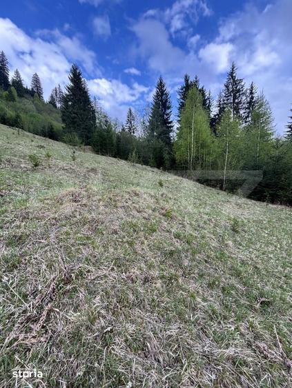 Teren extravilan, 2.8 ha, in zona ?andru, Campulung Moldovenesc - 3