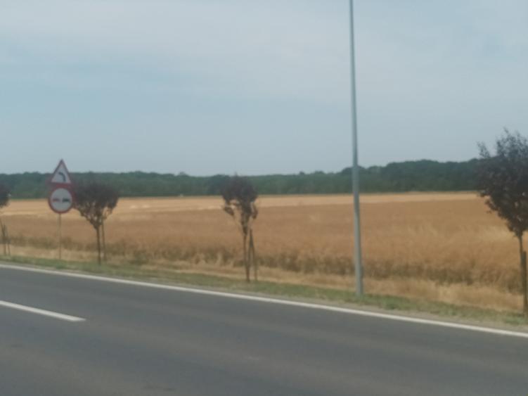 Teren Vanzare Intravilan Branesti - Investitie Zona Industriala Vis a Vis Makita - 23