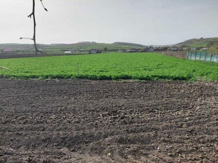 Casa de vanzare cu Teren 8600 mp, ICLOD, CLUJ - 1