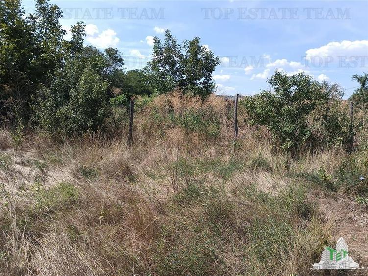 Teren intravilan in localitatea Cornetu cu deschidere mare, ideal pentru dezvolt - 8