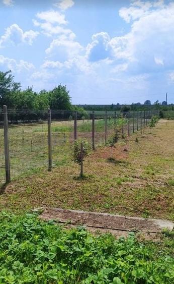 Casa Prahova Comuna Buchilas | 2.800 MP TEREN | Zona Verde | Padure - 12