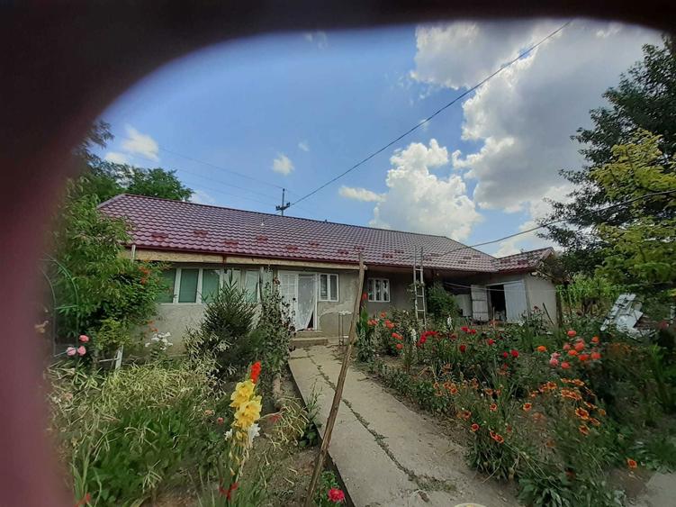 Casa de vanzare Cantalaresti - 2