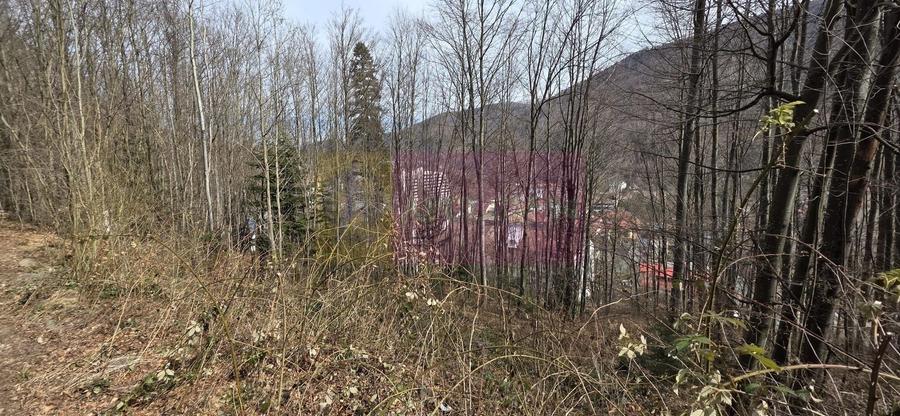 Tere intravilan de vanzare in Sinaia - 3