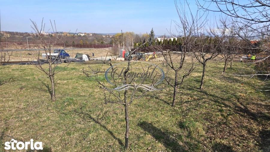 Teren duplex, cu PUZ aprobat in Buna Ziua - 6