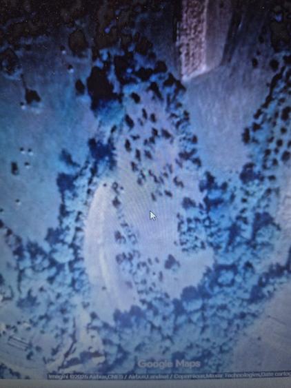 Teren 5000 mp Vatava, jud. Mures, zona linistita, 5 /mp - 2