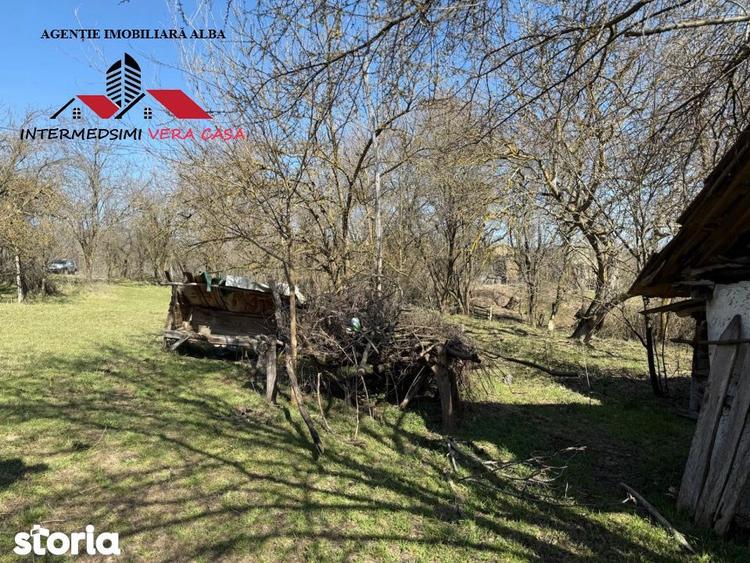 Casa si anexe cu un teren de 7701 mp de vanzare in Stauini Jud Alba - 12