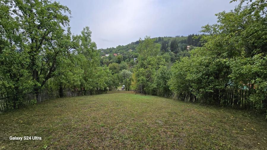 Teren Valea Doftane Prahova1481mp! - 3