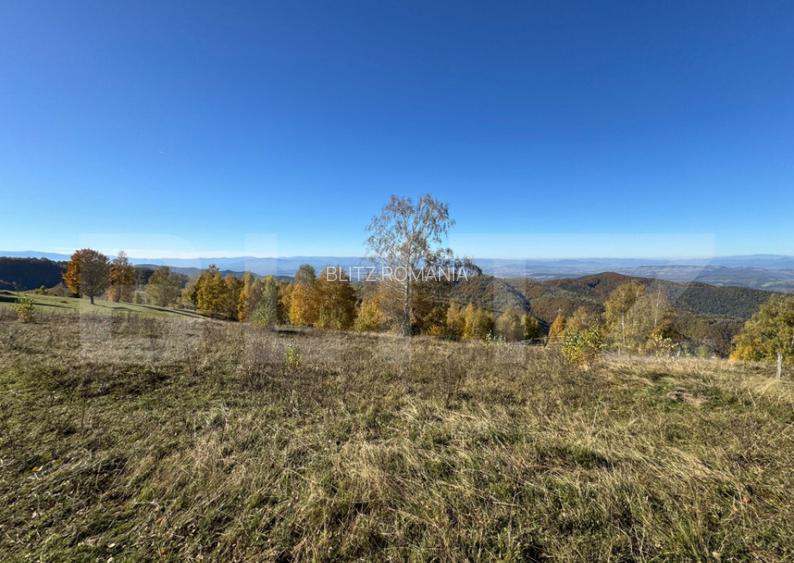 Teren extravilan 6.360 mp in Tarsa