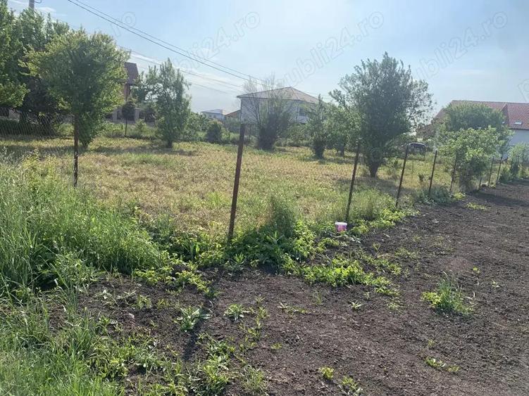 Proprietar, vand teren Dumbravita 734mp, pe colt, toate utilitatile - 3