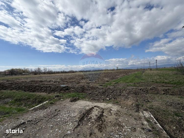 Teren 9,431mp Bizighesti / DJ 205E - 3
