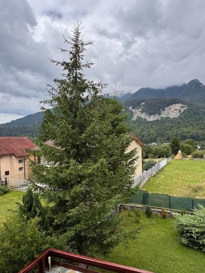 Proprietar, Vilă de vânzare - Bușteni, Piatra Arsă - 11