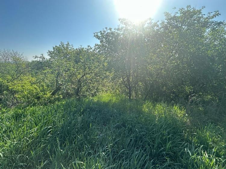 Casa Individuala Ozun Covasna teren 3200 mp - 13