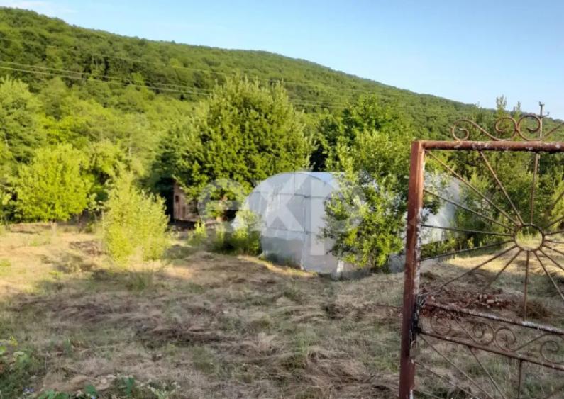 Casa la ?ara complet mobilata, 5.500 mp teren Topli? - 4