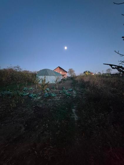 Vând casă Varlaam Giurgiu  - 5