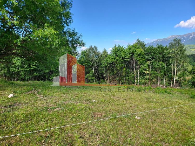 Teren Drumul Carului, Moieciu Suprafață: 29.595 mp | Intravilan - 5