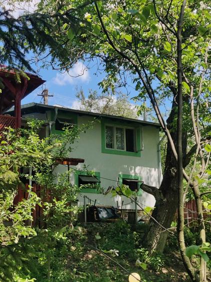 Casa moderna, cu foisor, anexe, gratar, renovata integral, 2100 mp curte livada - 3