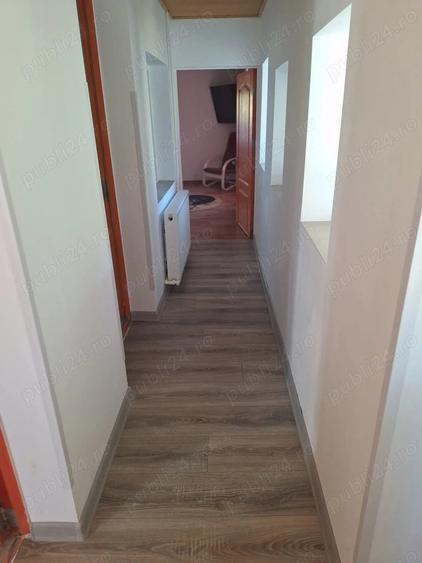 Casa de vanzare in DB, Visinesti, Urseiu - 2