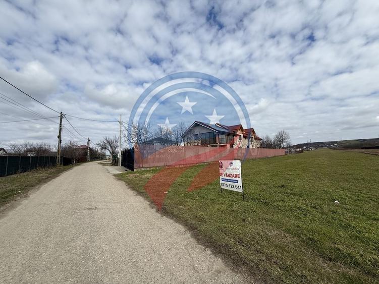 Teren de vanzare/Dudovicesti/Dolj - 1