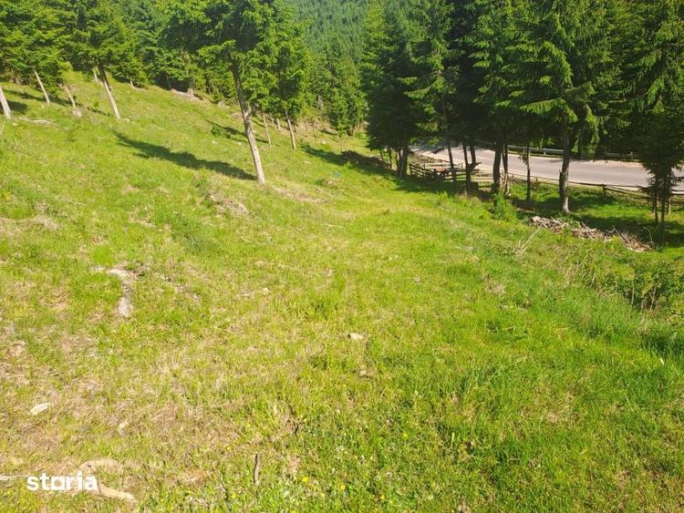 Teren Intravilan 1000mp | Drum ASFALTAT | MAGURI | PANORAMA - 4