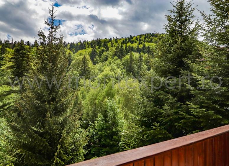 Pensiune de vânzare în Sinaia – proprietate premium cu 7 camere, teren generos! - 8