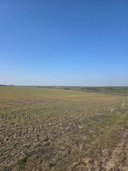 Teren intravilan, 4750 mp,  zona Exterior Nord - 1