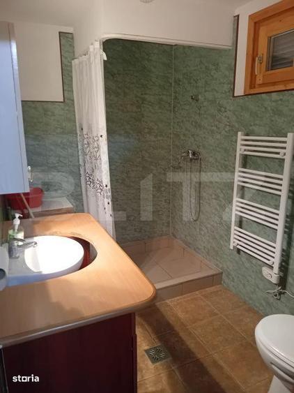 Cabana + teren generos, 60 mp utili, 30 km de Deva - Boz - 1