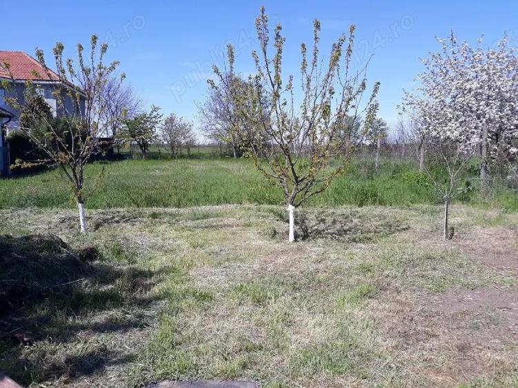 vanzare casa valu lui traian - 4