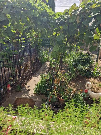 Apartament 1 camera-Gradina privata-Parcul Copou - 6