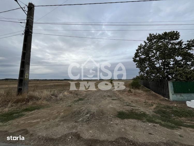 Teren de 1100 mp, în Mogoșani