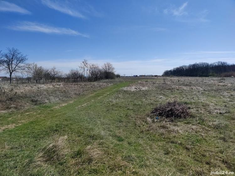 Teren de 4667 mp, în Coșoveni