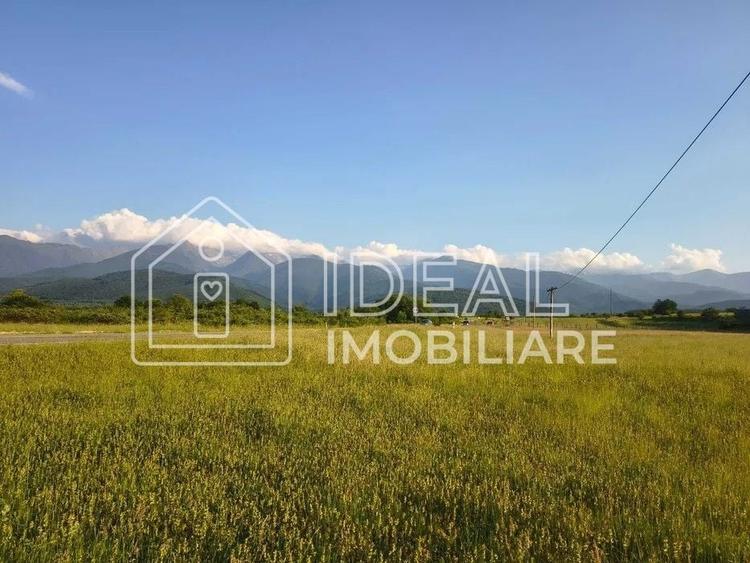 Teren agricol extravilan de 1800 mp, în Cârțișoara