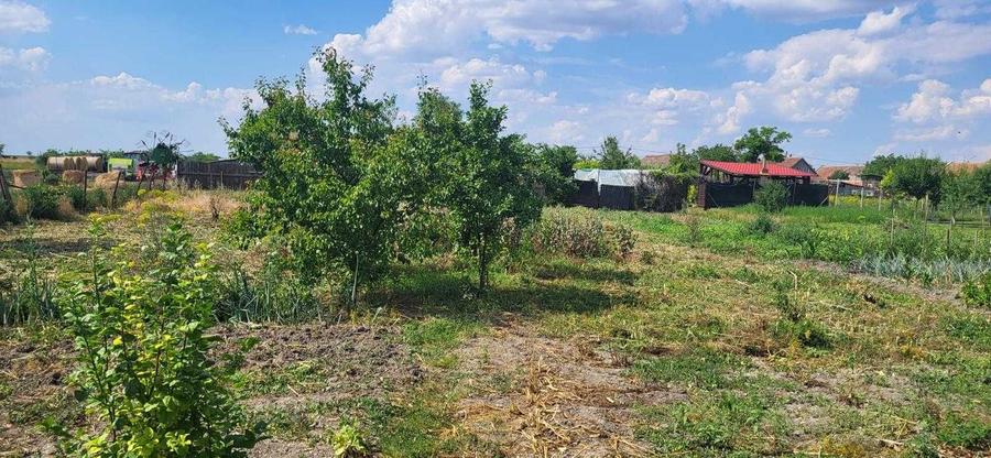 Casa de vanzare cu teren 1500mp la Bobda, Jud Timis - 4