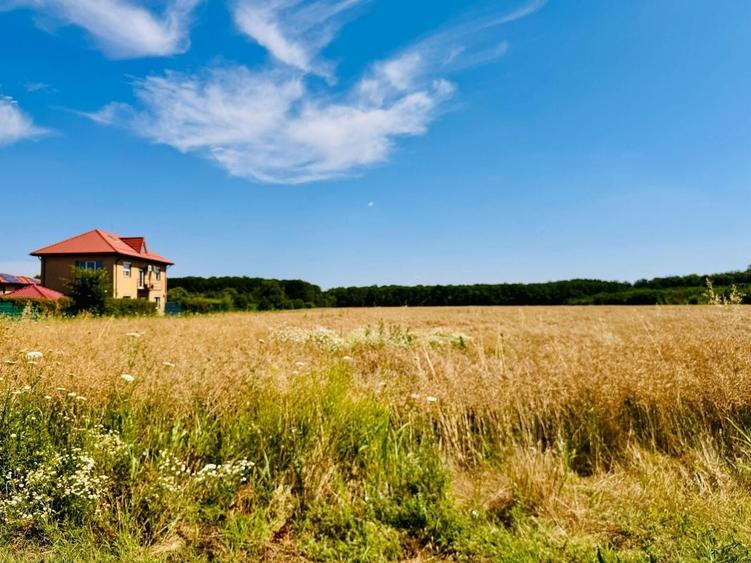 Teren Construcții intravilan de 1600 mp, în Ciofliceni