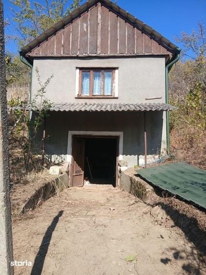 Teren de 44 mp, în Tileagd