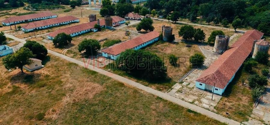 Teren de 300000 mp, în Biled
