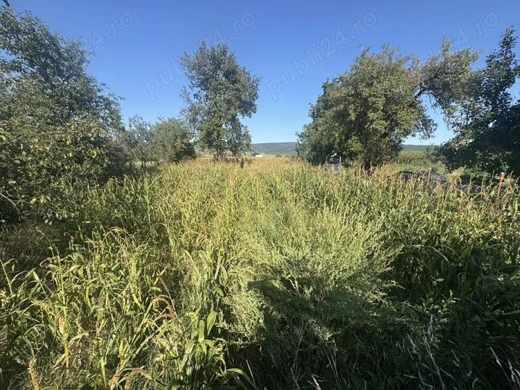 Casa De Vanzare LUNA - 8