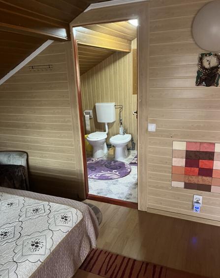 Casa Vladesti ?arina - 10