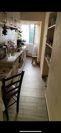 Vând garsonieră mobilată (garaj și magazie de lemne) - 1