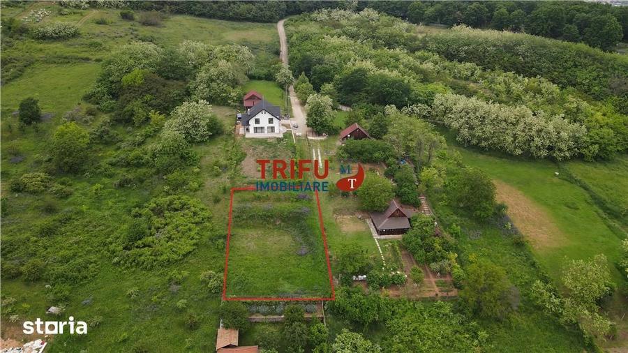 Teren de vanzare in Valea Popii 836 mp - 3