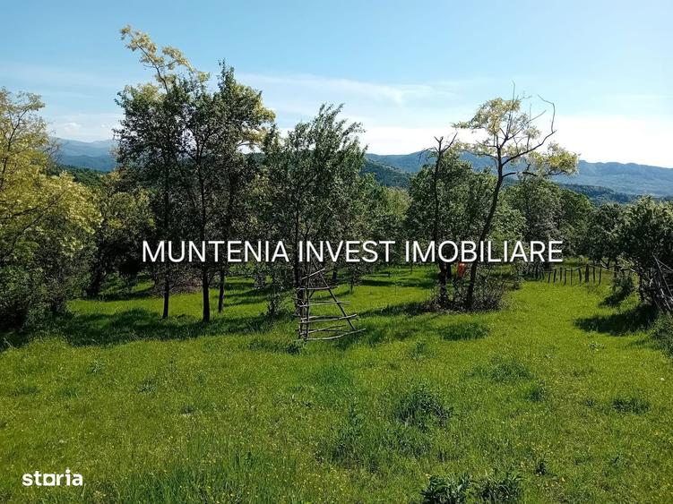 Teren 5596 mp. Com.Bradulet ,sat Galesu. - 7
