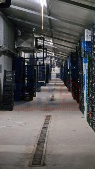 DE VANZARE Platforma cu  2 hale de 2074 mp amplasate pe un teren de 8762 mp - 7